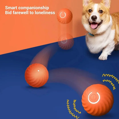 Interactive Smart Dog Toy Ball - Automatic Moving, Bouncing & Rolling USB Chew Toy for Puppies