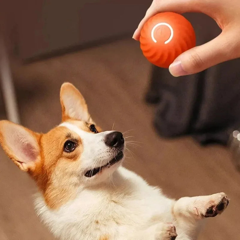 Interactive Smart Dog Toy Ball - Automatic Moving, Bouncing & Rolling USB Chew Toy for Puppies